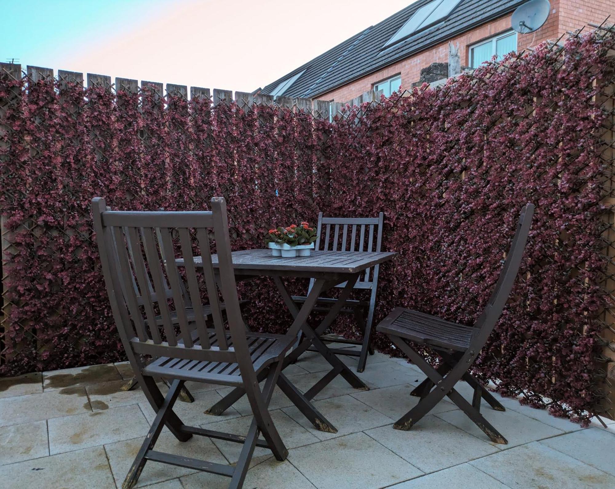 Mairead - Cosy Property In Gaeltacht Quarter Белфаст Екстериор снимка